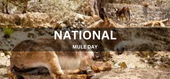 NATIONAL MULE DAY [राष्ट्रीय खच्चर दिवस]